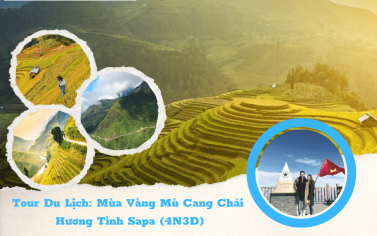 Tour Du Lịch Mùa Vàng Mù Cang Chải - Hương Tình Sapa 4N3Đ